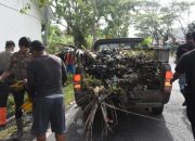 Drainase Dibersihkan, Bengkalis Bergerak Hadapi Cuaca Ekstrem