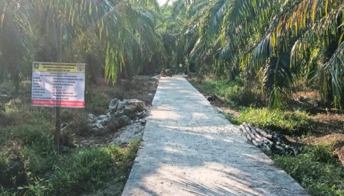 Akses Kebun Makin Mudah, Pemdes Parit 1 Api-Api Bangun Rabat Beton dari Dana Desa 2025