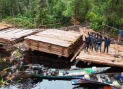300 Meter Kubik Kayu Ilegal Dibongkar di Inhu, Setara 120 Pohon Hutan Produksi Raib