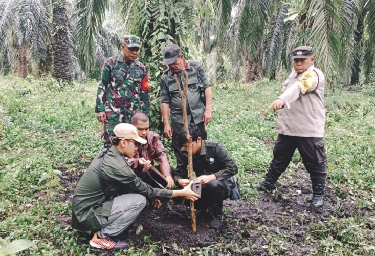 Jejak Harimau Sumatera Terendus di Siak, BBKSDA Riau Pasang Kamera Jebak dan Tingkatkan Patroli