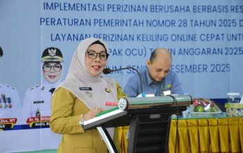 Perizinan Dipacu, Investasi Dibuka Lebar Lewat LAPAK OCU