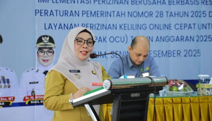 Perizinan Dipacu, Investasi Dibuka Lebar Lewat LAPAK OCU