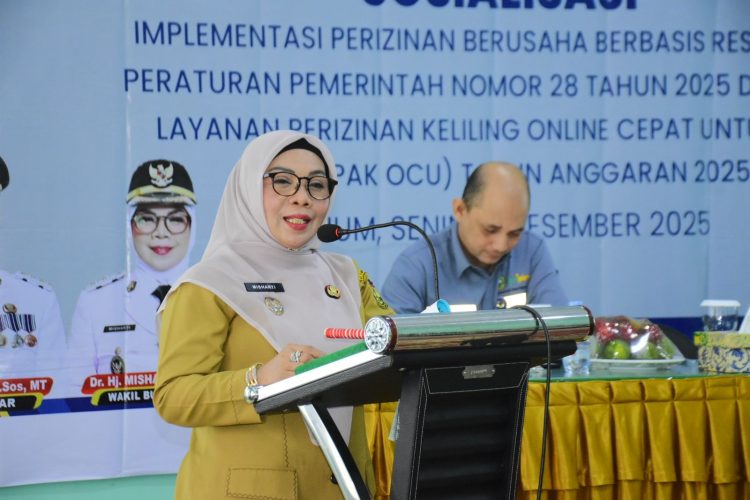 Perizinan Dipacu, Investasi Dibuka Lebar Lewat LAPAK OCU