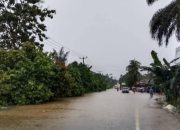 Banjir Kepung Kemuning, 243 KK di Dua Desa Inhil Terdampak