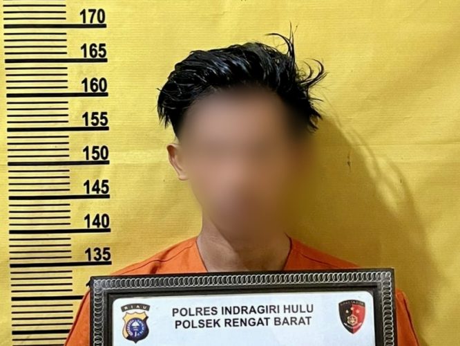 Karyawan Pasar Malam Diduga Cabuli Anak, Polisi Ringkus GZV di Rengat Barat