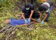 Diduga Panik Saat Dipergoki, Warga Batang Gansal Tewas di Perkebunan Sawit