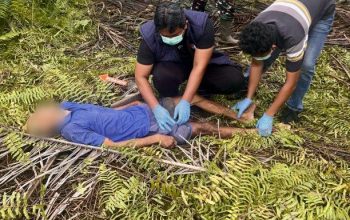Diduga Panik Saat Dipergoki, Warga Batang Gansal Tewas di Perkebunan Sawit