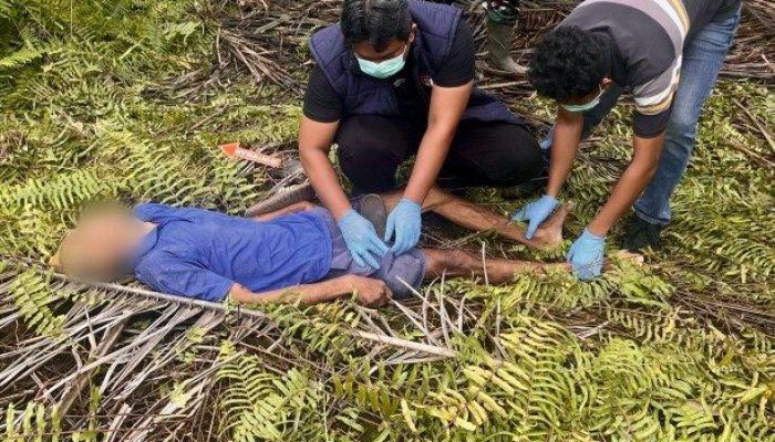Diduga Panik Saat Dipergoki, Warga Batang Gansal Tewas di Perkebunan Sawit