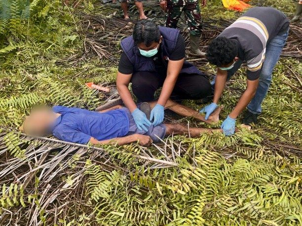 Diduga Panik Saat Dipergoki, Warga Batang Gansal Tewas di Perkebunan Sawit