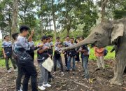 Gajah Robin, Ngatini, dan Dona Jadi Media Edukasi Lingkungan di Buluh Cina