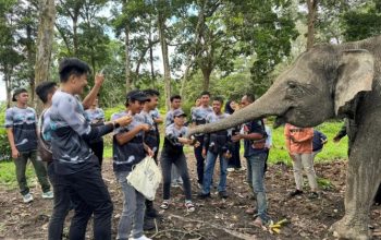Gajah Robin, Ngatini, dan Dona Jadi Media Edukasi Lingkungan di Buluh Cina