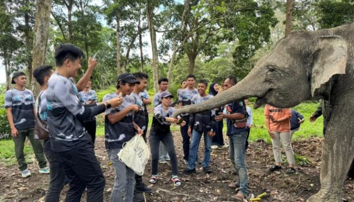 Gajah Robin, Ngatini, dan Dona Jadi Media Edukasi Lingkungan di Buluh Cina