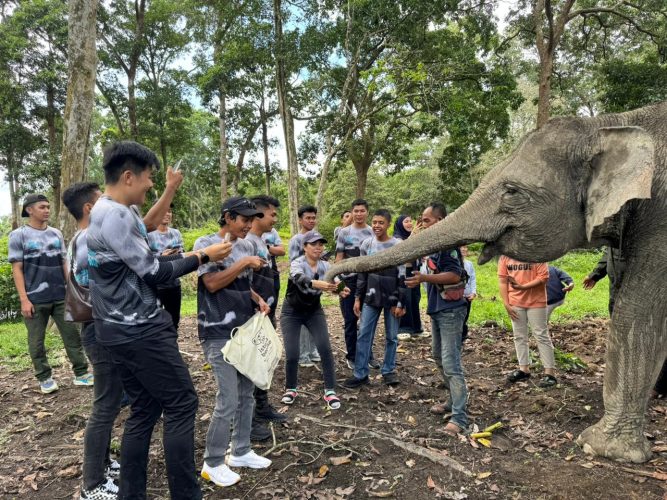 Gajah Robin, Ngatini, dan Dona Jadi Media Edukasi Lingkungan di Buluh Cina