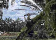 Penertiban Kawasan TNTN Dimulai, Relokasi Warga Berbasis Data