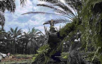 Penertiban Kawasan TNTN Dimulai, Relokasi Warga Berbasis Data