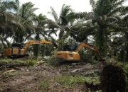 600 Hektare Diserahkan, Relokasi Warga TNTN Jadi Contoh Nasional