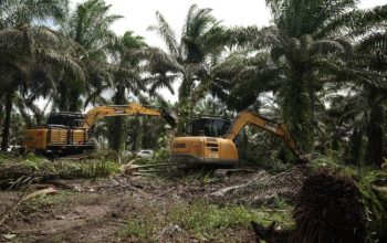 600 Hektare Diserahkan, Relokasi Warga TNTN Jadi Contoh Nasional