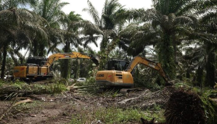 600 Hektare Diserahkan, Relokasi Warga TNTN Jadi Contoh Nasional