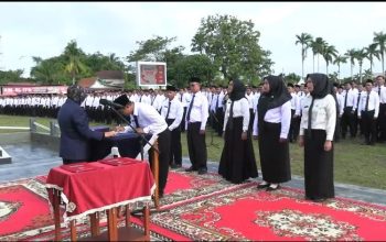 3.054 Honorer Resmi Jadi ASN PPPK, Afni: Jangan Lagi Kerja Setengah Hati