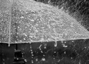 Hujan Masih Mendominasi Riau, BMKG Ingatkan Potensi Petir dan Angin Kencang