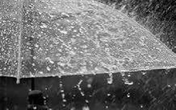 Hujan Masih Mendominasi Riau, BMKG Ingatkan Potensi Petir dan Angin Kencang