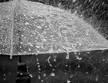 Hujan Masih Mendominasi Riau, BMKG Ingatkan Potensi Petir dan Angin Kencang