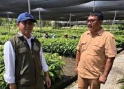 Dari Penertiban ke Rehabilitasi, Pemerintah Tancap Gas Selamatkan TNTN