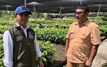 Dari Penertiban ke Rehabilitasi, Pemerintah Tancap Gas Selamatkan TNTN