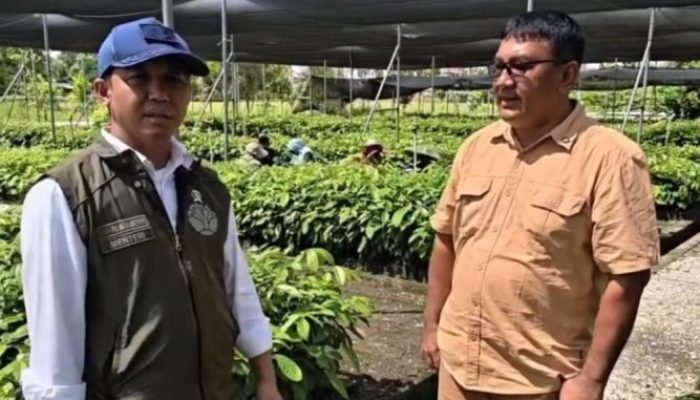 Dari Penertiban ke Rehabilitasi, Pemerintah Tancap Gas Selamatkan TNTN