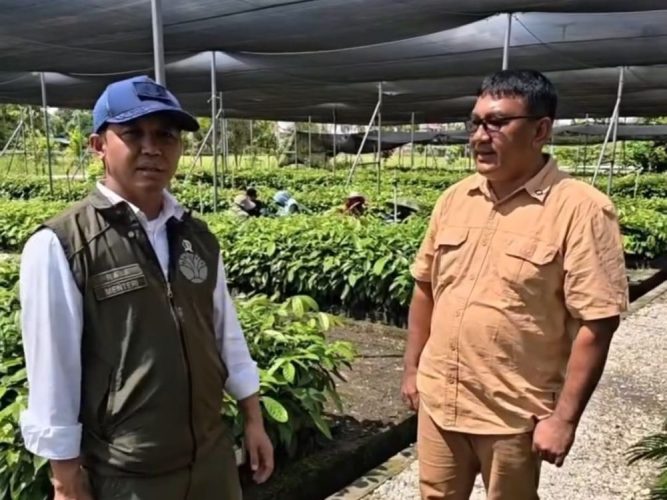 Dari Penertiban ke Rehabilitasi, Pemerintah Tancap Gas Selamatkan TNTN