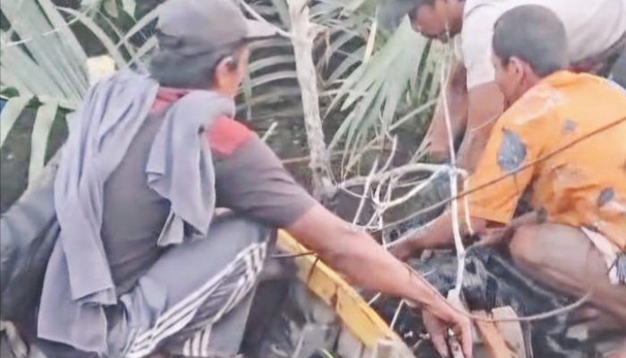 Buaya Terjang Pemancing, Remaja 19 Tahun Ditemukan Tewas