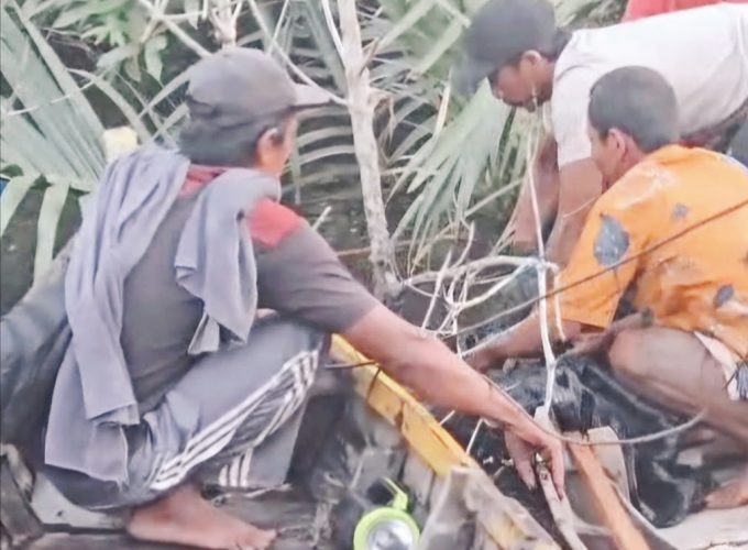Buaya Terjang Pemancing, Remaja 19 Tahun Ditemukan Tewas