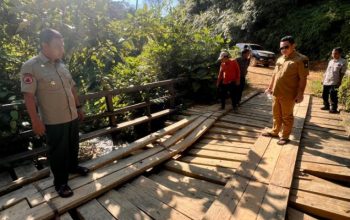Akses Vital Warga Terancam, Bupati Kampar Minta OPD Tindak Lanjut Jembatan Kayu Rusak