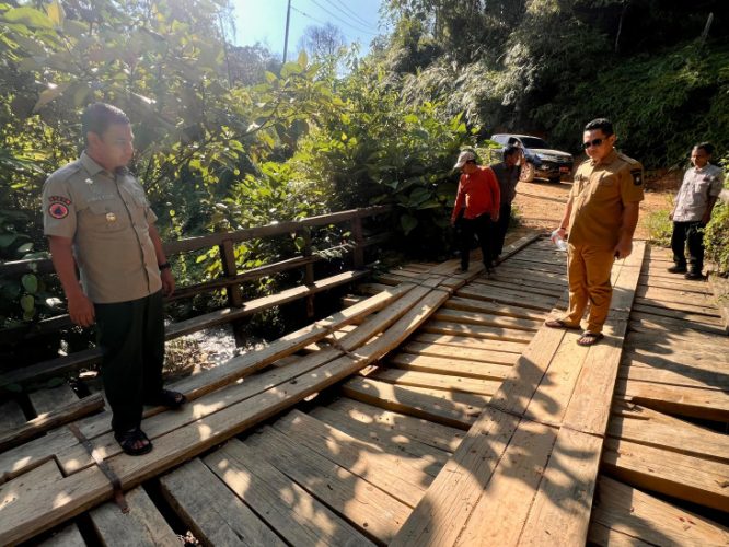 Akses Vital Warga Terancam, Bupati Kampar Minta OPD Tindak Lanjut Jembatan Kayu Rusak
