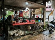 Harga Pangan Meroket Jelang Tahun Baru, Ayam dan Daging Jadi Beban Warga Pekanbaru