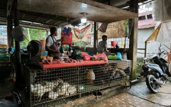 Harga Pangan Meroket Jelang Tahun Baru, Ayam dan Daging Jadi Beban Warga Pekanbaru