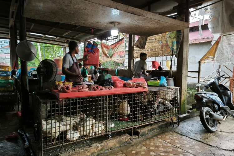 Harga Pangan Meroket Jelang Tahun Baru, Ayam dan Daging Jadi Beban Warga Pekanbaru