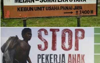 Diduga Langgar UU Perlindungan Anak, Manajemen PTPN IV Kebun Ajamu 3 Tetap Bungkam