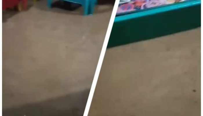 Ratusan Rumah di Desa Penengahan Terendam Banjir, Warga Harap Perhatian Pemkab Pesawaran