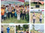Panen Raya Jagung Serentak Kuartal I 2026 di Desa Tanjung Rejo: Sinergi Polri dan Petani Perkuat Ketahanan Pangan Nasional