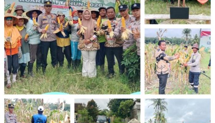 Panen Raya Jagung Serentak Kuartal I 2026 di Desa Tanjung Rejo: Sinergi Polri dan Petani Perkuat Ketahanan Pangan Nasional