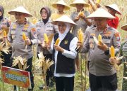 Wabup Sidoarjo Bersama Gubernur Jatim dan Forkopimda Panen Raya Jagung Kuartal I 2026 di Desa Kedensari