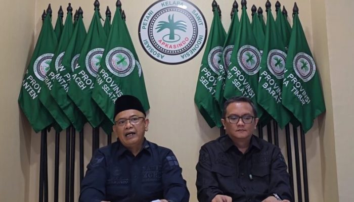 Harga CPO Naik Tinggi, Lebih 90 Persen Petani Sawit Belum Nikmati Dampaknya