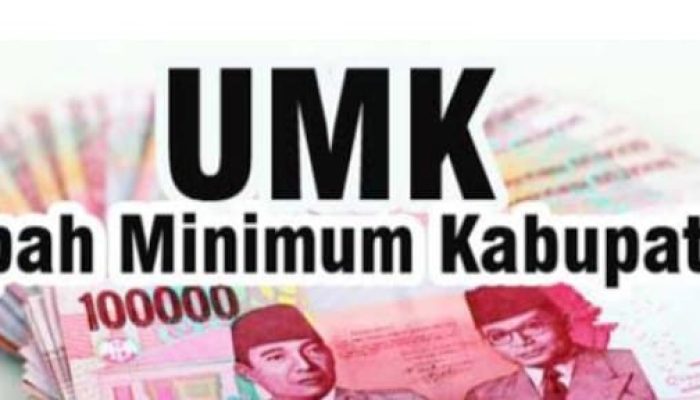 Upah Minimum Tak Dibayar Sesuai Aturan, Disnakertrans Riau Ancam Tindak Tegas