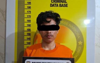 Pemuda 19 Tahun di Kuansing Jadi Pengedar Ganja, Polisi Ungkap Peran dan Jaringan