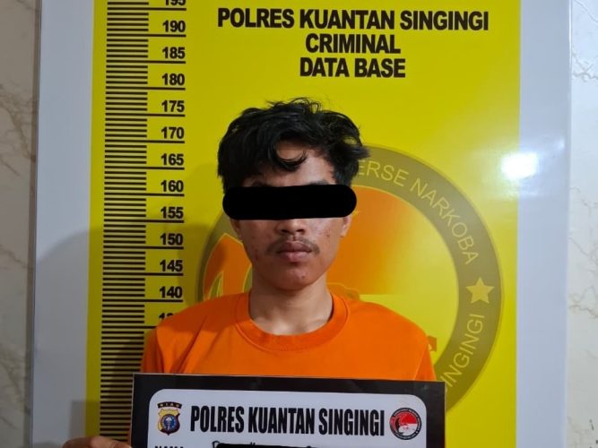 Pemuda 19 Tahun di Kuansing Jadi Pengedar Ganja, Polisi Ungkap Peran dan Jaringan