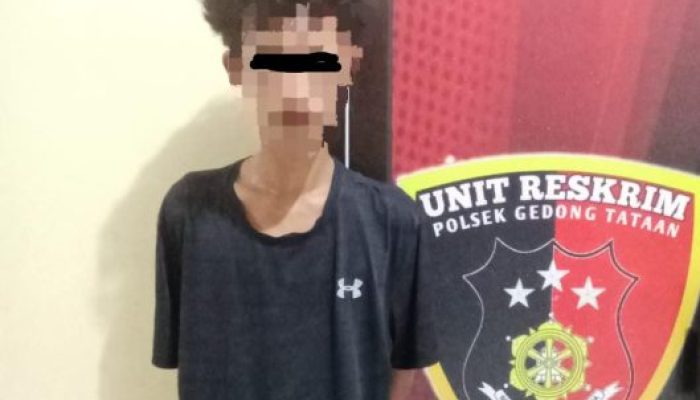 Tekab 308 Polsek Gedong Tataan Ungkap Kasus Pencurian di Negeri Katon, Pelaku Diamankan Kurang dari Sepekan 