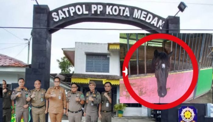 Polemik Wahana Kuda Taman Cadika, Kadispora Medan Bantah Tudingan Pungli