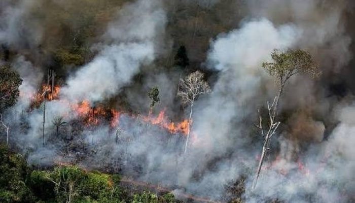 Pulau Rupat Terindikasi Titik Api, Riau Masuk Daftar Wilayah Waspada