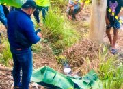 Mayat Pria Ditemukan di Jalur Pekanbaru–Taluk Kuantan, Tak Ada Tanda Kekerasan